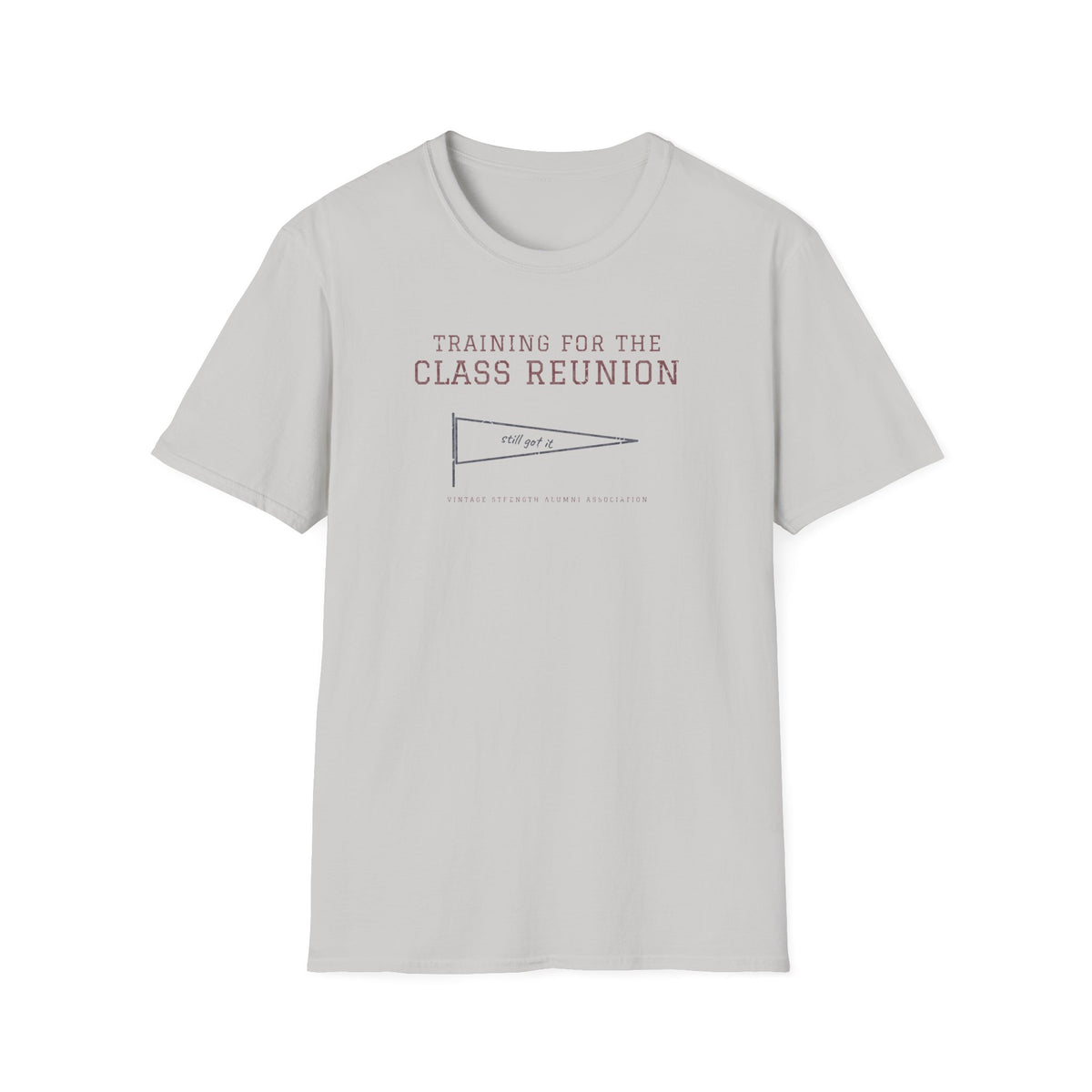 Training for the Class Reunion T-Shirt in Ice Grey