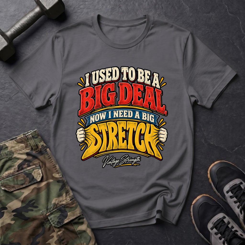 I Used to Be a Big Deal, Now I Need a Big Stretch T-Shirt in Charcoal