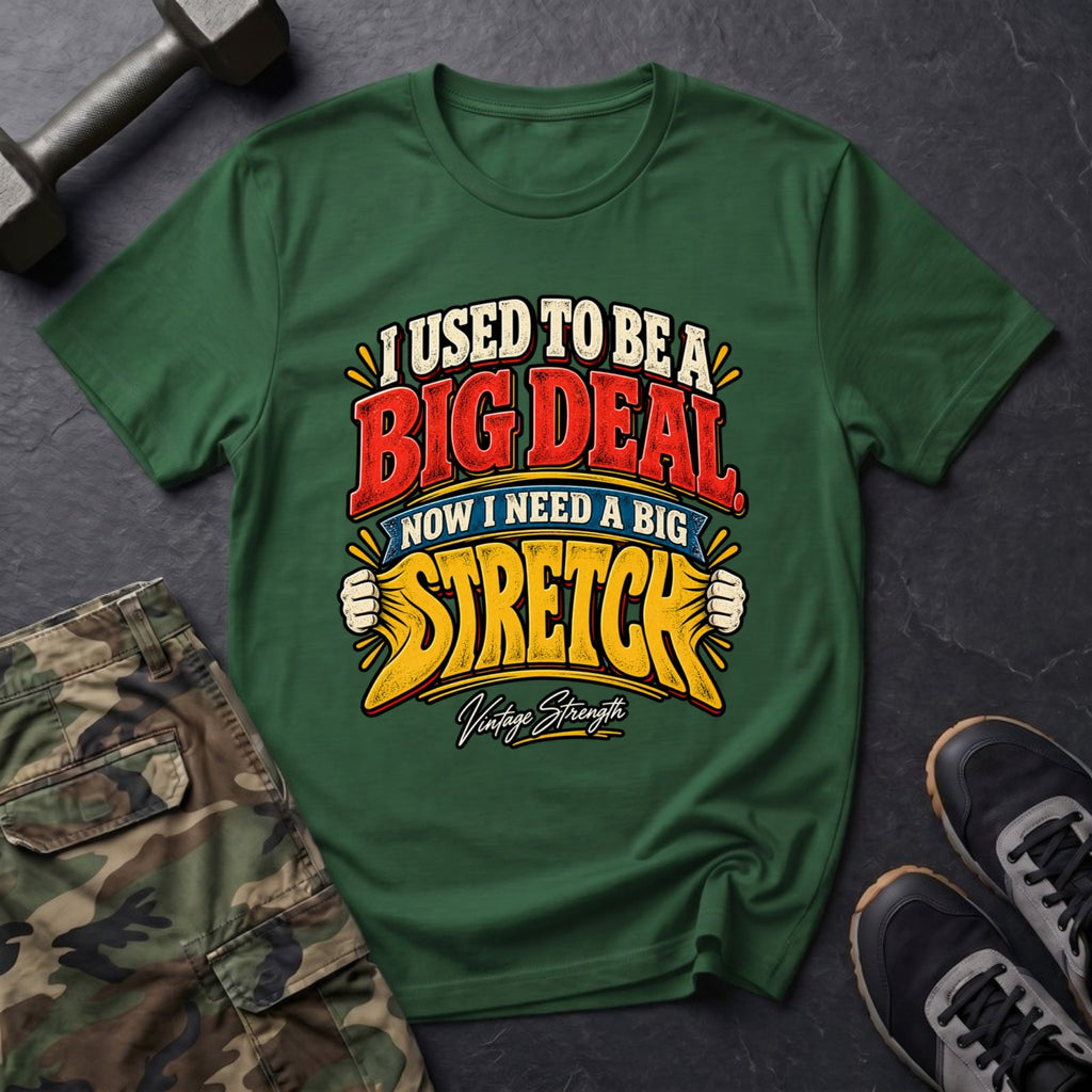 I Used to Be a Big Deal, Now I Need a Big Stretch T-Shirt in Forest Green